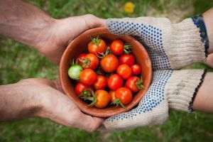  Fermierii din Transilvania au primit peste 65 de milioane de euro pentru a asigura alimente de bază pentru hoteluri