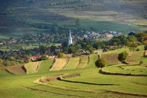 Fondurile disponibile pentru înfiinţarea de activităţi neagricole în zone rurale s-au epuizat în 5 zile de la lansarea sesiunii