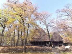 Lucrări de restaurare la Muzeul Satului