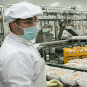 Exporturile de carne de pasăre s-ar putea dubla în 2009