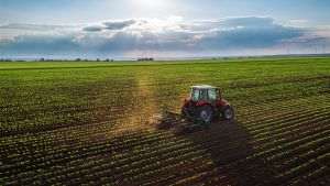 Raiffeisen Bank şi Rodbun sprijină soluţiile inovatoare pentru agricultură