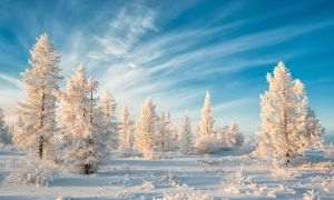 Rusia vrea să investească 31 de miliarde de dolari pentru a transforma Siberia într-o destinaţie turistică