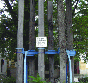 Grinzi din atelierul lui Brancusi de la Paris, la Colegiul de arte şi meserii din Craiova