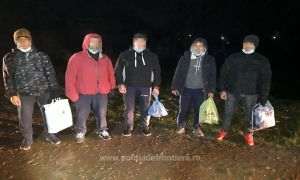 "Aproximativ 11.000 de migranti au intrat în Timiş, ilegal, anul trecut"