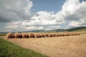 Ministerul Agriculturii, în întârziere cu transmiterea Planului Naţional Strategic la Bruxelles