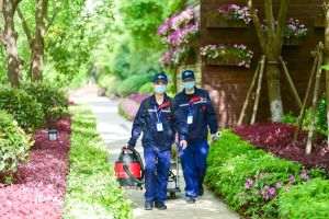 Economia americană a creat doar 199.000 de locuri de muncă, în decembrie