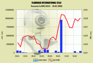 "Flamingo International" - top performer la Bursă, luna aceasta 