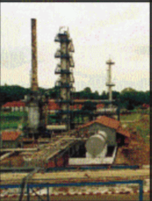 "OIL Terminal" Constanţa a semnat cu "Petrom" trei contracte de peste 10 milioane de euro