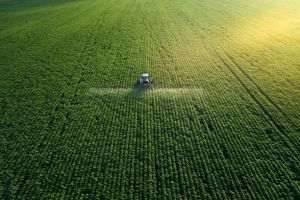 Startup-urile agritech se pot înscrie în platforma Nextcelerator până pe 28 februarie