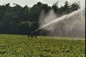 Ministerul Agriculturii deschide robinetul pentru canalele de irigaţii
