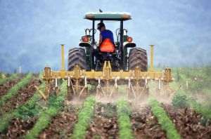 Fermierii şi distribuitorii de bunuri cer intervenţia Guvernului pentru evitarea unei crize alimentare
