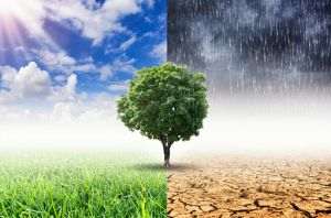 Ne îndreptăm cu ochii închişi către catastrofa climatică