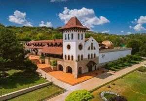 Purcari Wineries propune acţionarilor distribuirea ca dividende a 20,4 milioane de lei