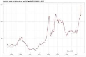 FAO: Salt gigantic al preţurilor alimentelor la nivel global