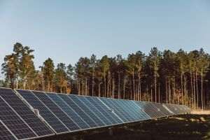 Producătorul EDPR de energie regenerabilă şi tech Meta încheie un PPA pentru un nou parc solar în SUA 