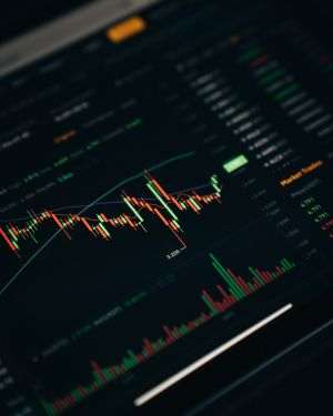 "Vulturii caută profit, iar Kremlinul susţine piaţa acţiunilor şi rubla"