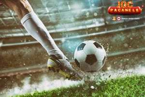 Cel mai uşor sport pe care poţi paria?