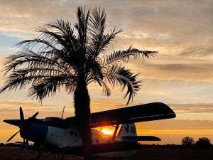 Sursa foto: facebook.com/FlightFestivalTimisoara