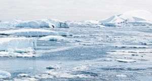 Poluarea cu plastic a ajuns până în Antarctica