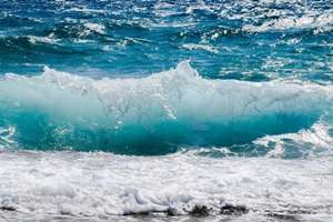 Nouă ţări de pe continentul american au creat o "coaliţie pentru protejarea oceanelor"