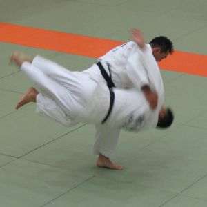 Judo: 11 medalii pentru tricolori