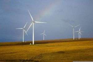 Transavia investeşte masiv în energie verde pentru a-şi asigura necesarul de energie