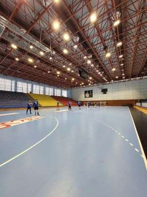 EHF European League: şapte echipe din ţara noastră, înscrise în competiţie