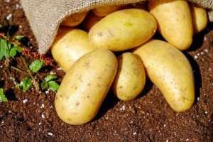 "La legume am un preţ al respectului, cât îmi cere, atât îi dau"