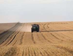 Libanul anulează importul de cereale din Ucraina