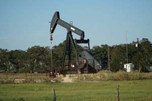 OPEC: "Preţul petrolului a scăzut din cauza fricii investitorilor"