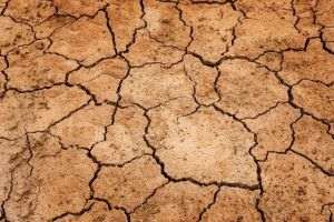 Aproape 430.000 de hectare de teren agricol din 34 de judeţe, afectate de secetă