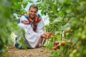Revenirea turismului la cotele pre-pandemice sprijină activitatea micilor producători locali