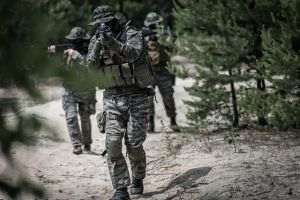 Au ajuns primii militari ai noii brigăzi germane