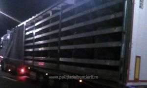 Două mijloace de transport, încărcate cu peste 23 de tone de deşeuri, oprite la Borş II