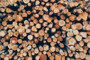 Evaluare de impact a măsurii de plafonare a preţurilor pentru lemn de foc