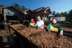 Mondelēz International extinde programul Cocoa Life cu o investiţie totală de 1 miliard USD până în 2030