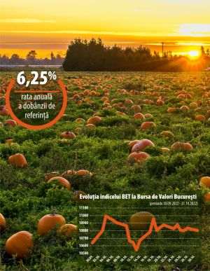 Inflaţia - aproape de 16%, dobânda cheie creşte din nou, Dîncu pleacă de la Apărare