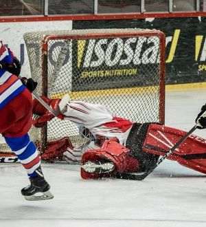 Alegerile de la FR Hochei, suspendate de Ministerul Sportului