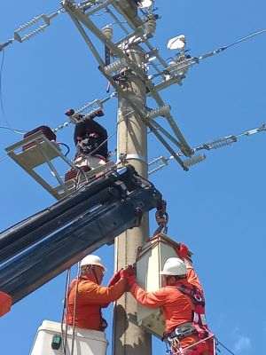 Peste 1.600 de echipamente telecomandate au fost montate în reţelele aeriene de medie tensiune