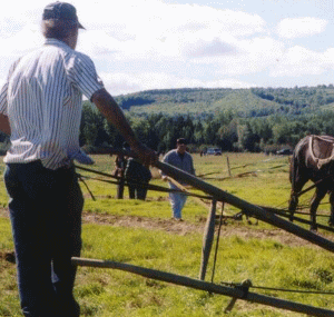 Producătorii cer dobânzi de 4% pentru creditele destinate agriculturii.