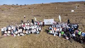 Nestle România plantează împreună cu Asociaţia Mai Mult Verde 20.000 de puieţi de salcâm în judeţul Giurgiu