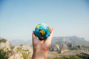 Cote pariuri câştigătoare Cupa Mondială 2022