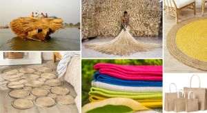 India este cea mai mare ţară producătoare de bunuri de iută la nivel Mondial: aproximativ 70% din producţia mondială