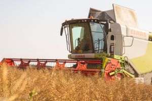 Carmistin accelerează investiţiile, mizând pe producerea de hrană bio