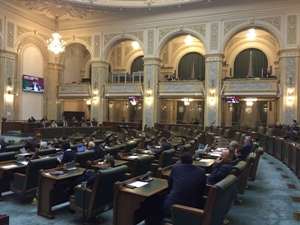 Senatul a votat noul Birou permanent