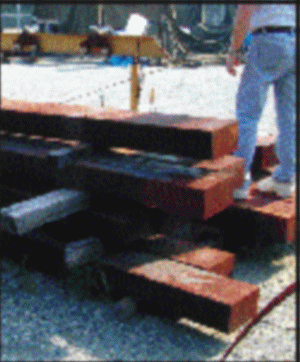"Mittal Steel" Roman are doi administratori noi