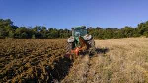 Agricultura nu se mai poate face decât cu diplomă