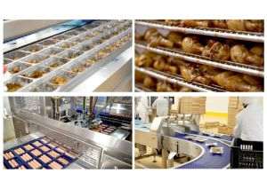 Carnea de pui românească trece la un alt nivel de producţie 