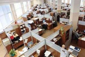 ANOFM: 33.036 de persoane au fost angajate în primele două luni ale anului 2023