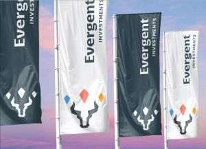 EVERGENT Investments propune un dividend cu randament de 7,1%